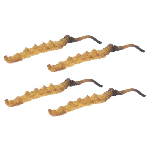 Toyvian 4 Stück Cordyceps -Modell Arztzubehör Arztkoffer Modell der chinesischen Medizin medizinische Spielzeugartikel Arzt Rollenspiel Requisiten Plastik Toyvian 4 Stück Cordyceps -Modell Arztzubehör Arztkoffer Modell der chinesischen Medizin medizinische Spielzeugartikel Arzt Rollenspiel Requisiten Plastik von Toyvian