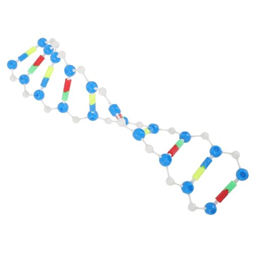 Toyvian 4 Stück Komponenten des DNA-Doppelhelix-Modells Klassenunterricht Molekülmodell Wissenschaftliches Wissenschaftsmodell Biologie DNA-Modell Gen Suite Motor Plastik von Toyvian