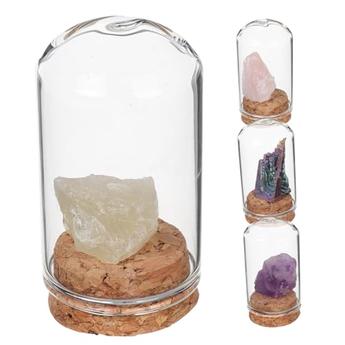 Toyvian 4 Stück Kristallverzierungen halbedelsteine Glasglocke Terrarium mit Glaskuppel Ausstellungskuppel Glocke Glaskuppel Glashaube kleine Glocke Halloween-Glaskuppel kleine Glaskuppel Toyvian 4 Stück Kristallverzierungen halbedelsteine Glasglocke Terrarium mit Glaskuppel Ausstellungskuppel Glocke Glaskuppel Glashaube kleine Glocke Halloween-Glaskuppel kleine Glaskuppel von Toyvian