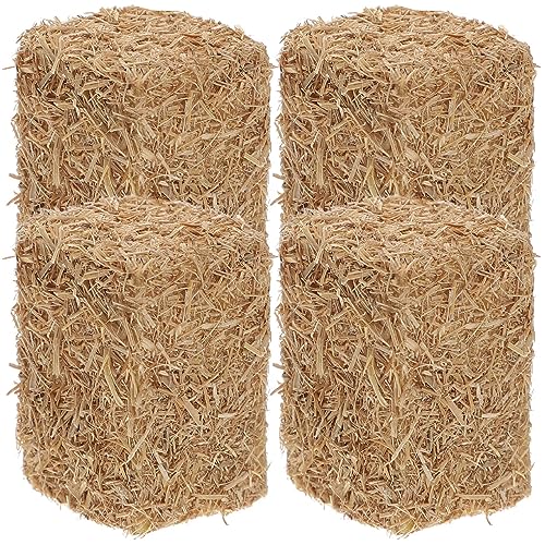 Toyvian 4 Stücke Heuballen Strohballen Futterset Spielzeug Miniatur Bauernhof Zubehör Mini Gartenwerkzeug Spielzeug Puppenhaus Puppenstube Zubehör Modellbau Micro Landschaft Deko Toyvian 4 Stücke Heuballen Strohballen Futterset Spielzeug Miniatur Bauernhof Zubehör Mini Gartenwerkzeug Spielzeug Puppenhaus Puppenstube Zubehör Modellbau Micro Landschaft Deko von Toyvian