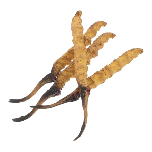 Toyvian 4 Teiliges Cordyceps Modell Für Requisiten Im Traditionellen Medizingeschäft Und Requisiten Im Chinesischen Medizingeschäft Künstliche Medizinische Substanzen Für Das Play Doctor Toyvian 4 Teiliges Cordyceps Modell Für Requisiten Im Traditionellen Medizingeschäft Und Requisiten Im Chinesischen Medizingeschäft Künstliche Medizinische Substanzen Für Das Play Doctor von Toyvian