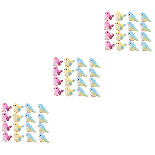 Toyvian Autodekoration 48 STK Mini-Vogel Zahlenspielzeug süßes Tiermodell Töpfe für Pflanzen Birdie Desktop-Vogel-Ornamente Vogel Schreibtisch Zubehör dekorativer Vogel Blumentopf von Toyvian