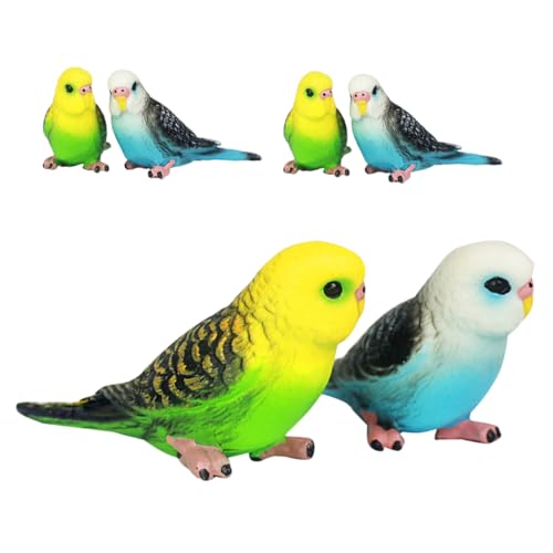 Toyvian 6 Stück Teiliges Kleine Papageienfiguren aus Kunststoff Realistische Vogelmodelle Grün und Blau Langlebig Pädagogisches und Dekoration für Garten und Zuhause von Toyvian