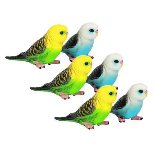 Toyvian 6 Stück Teiliges Kleine Papageienfiguren aus Sicherem Kunststoff Realistische Vogelspielzeuge mit Glatten Kanten Leicht und Tragbar für Indoor und Outdoor Spielspaß von Toyvian