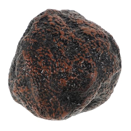Toyvian Black Truffle Modell Kinderwagen Mini Indoor Hantel Kinderzubehör Rollenspiel Produkt Kinderwagen Kinderspielzeug Kleinkind Rollenspiel Lebensmittel Kunststoff Toyvian Black Truffle Modell Kinderwagen Mini Indoor Hantel Kinderzubehör Rollenspiel Produkt Kinderwagen Kinderspielzeug Kleinkind Rollenspiel Lebensmittel Kunststoff von Toyvian