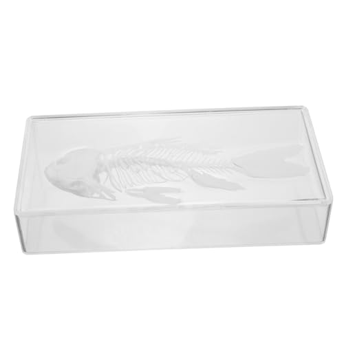 Toyvian Exemplar eines Fischskeletts Modell des Meereslebens Sammlung prep Showcase Fischgrätenverzierung Dekoration mit Fischgräten künstlich echter Knochen Statue Probe Spielzeug Plastik von Toyvian