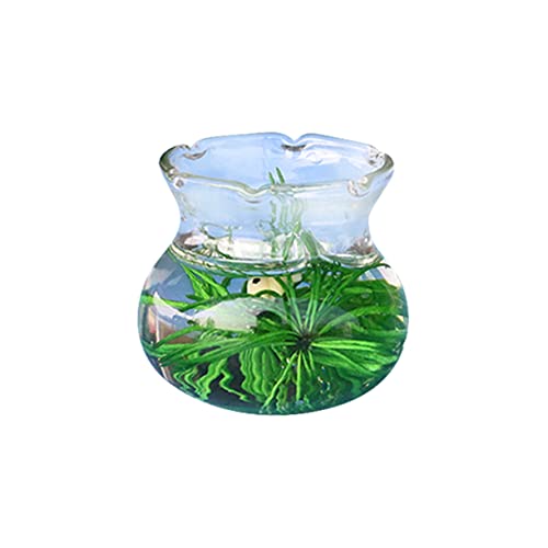 Toyvian Goldfischglas Aus Glas Miniatur-puppenhaus Aquarium Mikrolandschaftsornament Puppenmöbel Dekoration Hausdekoration Autoverzierung Hauszubehör Für Zuhause Miniatur-Handwerk Yellow Toyvian Goldfischglas Aus Glas Miniatur-puppenhaus Aquarium Mikrolandschaftsornament Puppenmöbel Dekoration Hausdekoration Autoverzierung Hauszubehör Für Zuhause Miniatur-Handwerk Yellow von Toyvian