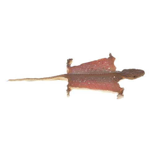 Toyvian Halloween Gecko Figurine Simulation Reptile Modell als Vielseitige Deko für Garten Innenräume und Partys Kleines Tragbares Prank zur Realistischen Gestaltung und Lernzwecken Toyvian Halloween Gecko Figurine Simulation Reptile Modell als Vielseitige Deko für Garten Innenräume und Partys Kleines Tragbares Prank zur Realistischen Gestaltung und Lernzwecken von Toyvian