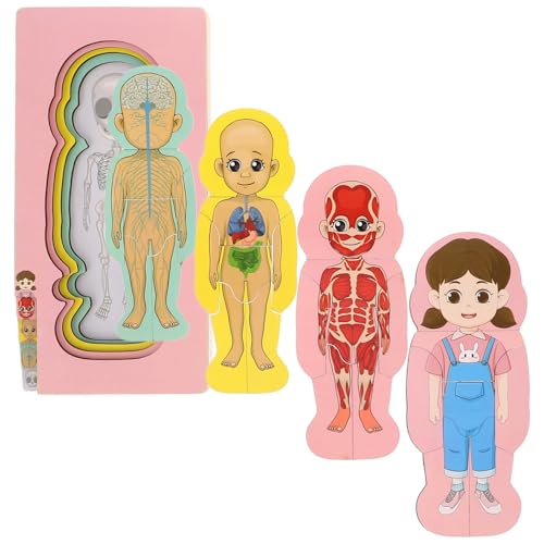 Toyvian Holzkörperpuzzle Set Für Kinder Anatomie Organ Rätsel Frühstamm Bildung Kleinkind Montessori Spielzeug Für Jungen Mädchen von Toyvian