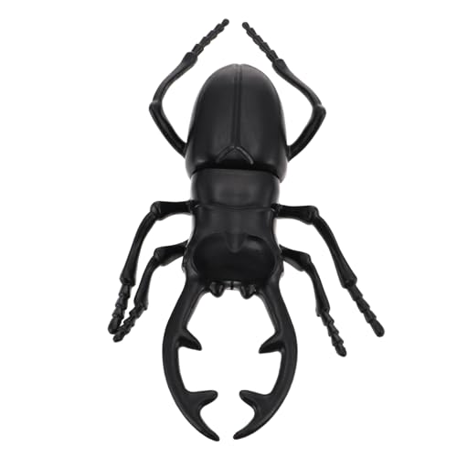 Toyvian Insekt Kinderspielzeug Tierisches Kognitives Simuliertes Tiermodell Simulationskäfer Dekoratives Tiermodell Modell Plastik Black Toyvian Insekt Kinderspielzeug Tierisches Kognitives Simuliertes Tiermodell Simulationskäfer Dekoratives Tiermodell Modell Plastik Black von Toyvian