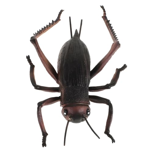 Toyvian Künstliche Cricket-Requisite Lern-Requisite Große Cricket-Ornamente Desktop- Exquisite Cricket-Statue Hohe Haltbarkeit Toyvian Künstliche Cricket-Requisite Lern-Requisite Große Cricket-Ornamente Desktop- Exquisite Cricket-Statue Hohe Haltbarkeit von Toyvian