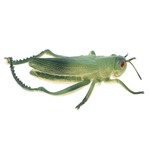Toyvian Insektenmodell Insekten lernspielzeug Garten- Plastikgrashüpfer Grashüpferfigur Mini-Tierfiguren Ameisenmodell aus Kunststoff PVC Green von Toyvian