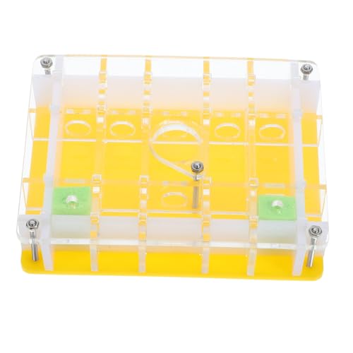 Toyvian Klare Acryl Ameisenfarm Beobachtungsbox mit Luftlöchern Kompaktes für Haustier Ameisen Wissenschaftliches Lernspielzeug zur Ameisenbeobachtung und Biologiewissen Vermittlung von Toyvian