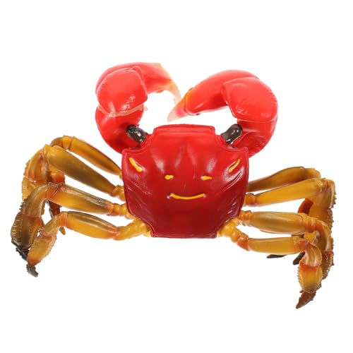 Toyvian Krabbenmodell Crab Toy crabtoy Pädagogisches für Lernspielzeug Krabbenmodell Meerestier kreatives Kinderspielzeug Bildungstiermodell Plastik Toyvian Krabbenmodell Crab Toy crabtoy Pädagogisches für Lernspielzeug Krabbenmodell Meerestier kreatives Kinderspielzeug Bildungstiermodell Plastik von Toyvian