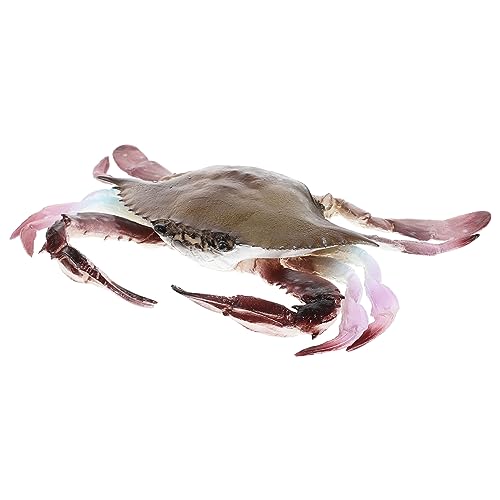 Toyvian Lebensechte Krabbenfigur aus Künstliches Krabbenmodell für Aquarien Dekoration Kreatives für Erwachsene für Lernspiele und Fantasievolles Toyvian Lebensechte Krabbenfigur aus Künstliches Krabbenmodell für Aquarien Dekoration Kreatives für Erwachsene für Lernspiele und Fantasievolles von Toyvian