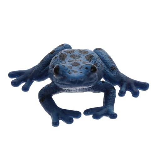Toyvian Lernspielzeug Frosch Modell Realistisches Kriechtier Simulationsspielzeug Pädagogisches Sammelobjekt für Naturerfahrung und Kreatives von Toyvian