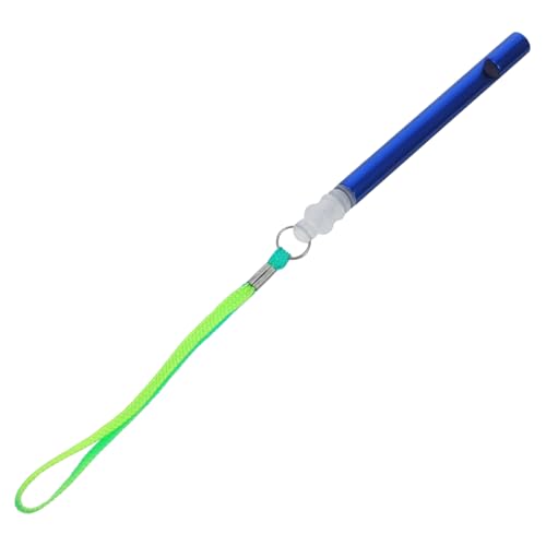 Toyvian Metalllegierung Slide Whistle Musikinstrument Kinderspielzeug mit Verstellbarem und Sicherer Verarbeitung Kreatives Frühförderungsspielzeug für Jungen und Mädchen Zufällige Farbe von Toyvian