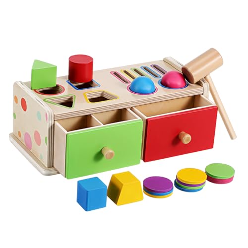 Toyvian Montessori Holz Farb und Formsortierbox für Kleinkinder Lernspielzeug zur Farb und Formerkennung Motorikförderndes Entwicklungs für Jungen und Mädchen Ab Jahren von Toyvian