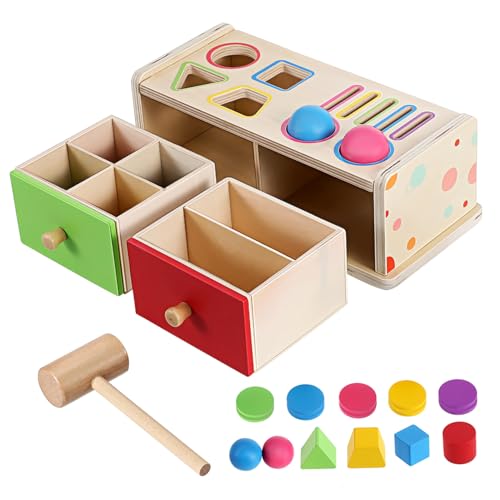 Toyvian Montessori Holzspielzeug Farb und Formensortierbox für Kleinkinder Geometrisches Zuordnungsspiel Bunte zur Farberkennung Motorische Geeignet für Zuhause und Vorschule von Toyvian