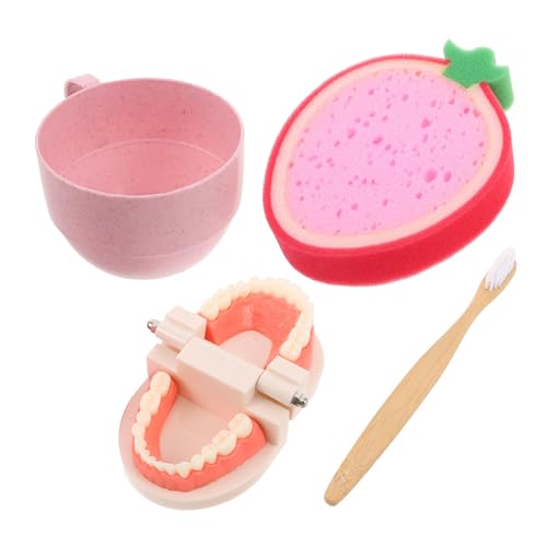 Toyvian Montessori Zahnarztspielzeug Set für Pädagogisches Zahnputzmodell mit Kindgerechtem Design Sicherem Material und Interaktivem Lernspielzeug zur Spielerischen Mundpflege und von Toyvian