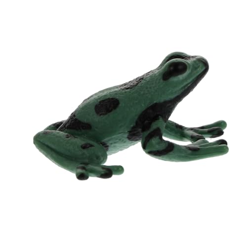 Toyvian Pädagogisches Amphibienmodell Frosch Figur Realistisch Kindgerecht Sammelspielzeug Lernspielzeug für Ab Jahren von Toyvian