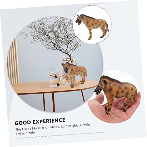 Toyvian Plastik Hyänen Modell Kleines Wildtier Realistische Tierfigur Pädagogisches Kognitives für Desktop Dekoration von Toyvian