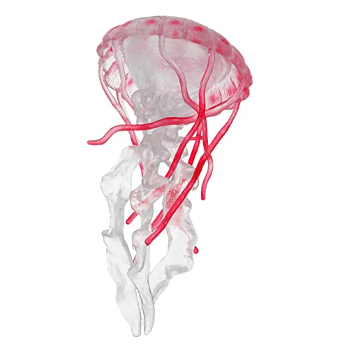 Toyvian Jellyfish Modell Künstliche Quallen-Dekoration Für Junge Mädchen Realistische Meereslebewesen-Figur Bildungs-Spielzeug Für Aquarium Lernspielzeug Für Kleinkinder von Toyvian