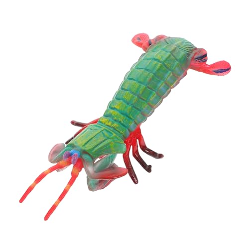 Toyvian Realistische Garnelenfigur Modell Detailgetreue Meeresbewohner Nachbildung Einzigartiges Design Vielseitig für Lernen Dekoration und Spiel Kindgerechte Tierfigur von Toyvian