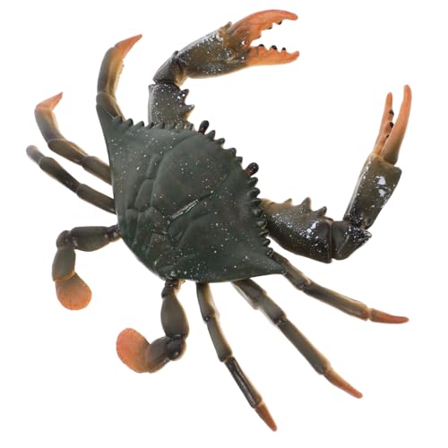 Toyvian Realistische Krabbenfigur aus Sicherem Langlebiges Sturz Modell Pädagogisch Lernspielzeug für Ab Jahren von Toyvian