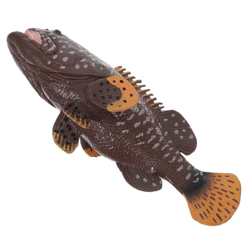 Toyvian Simulation Fisch Figurine Steinbarsch Kunststoff Für Aquarium Deko Und Bildungszwecke Kinderspielzeug Für Biologisches Lernen Und Tierverständnis von Toyvian