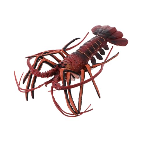 Toyvian Realistisches Hummer Modell Kreatur Figur Meeres Tierspielzeug Dekoration für Zuhause von Toyvian