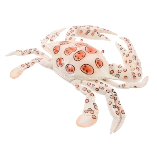 Toyvian Realistisches Krabbenmodell Detailgetreue Meeresfigur Robustes Kunststoff für Aquariumdekoration Pädagogisch Geeignet für Sammler Toyvian Realistisches Krabbenmodell Detailgetreue Meeresfigur Robustes Kunststoff für Aquariumdekoration Pädagogisch Geeignet für Sammler von Toyvian