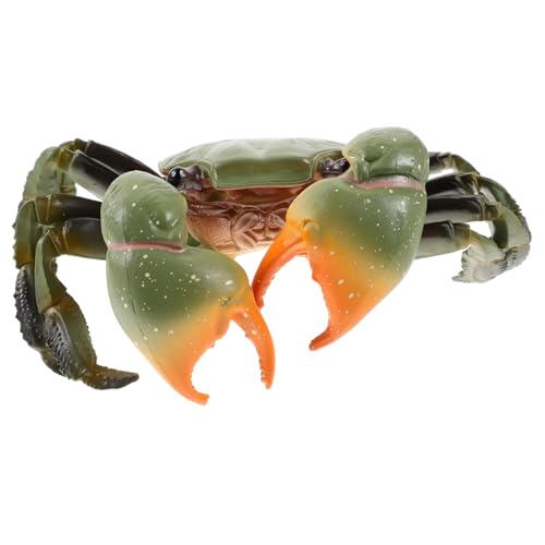 Toyvian Realistisches Krabbenmodell aus Kunststoff Kreatives Meerestier Pädagogisches Dekorationsobjekt für Aquarium und Lernspiele Teiliges Simulations Krabbenmodell von Toyvian