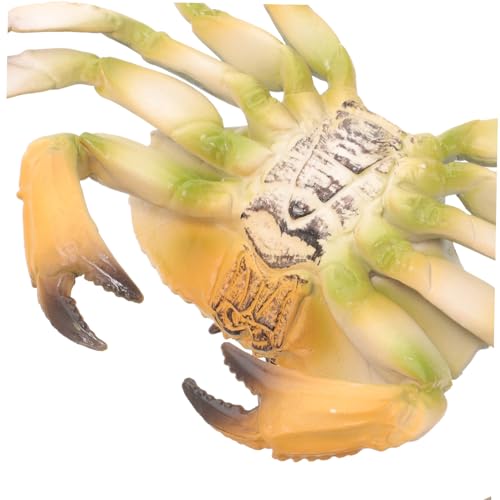 Toyvian Realistisches Krabbenmodell aus Naturgetreue Dekoration für Aquarium und Tisch Kreatives Fantasie und Motorik Tragbar und Langlebig für Familie und Freunde von Toyvian