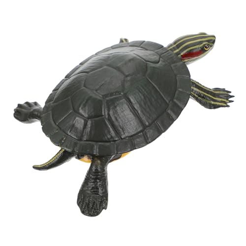 Toyvian Realistisches Schildkrötenmodell Festes Material Pädagogisch Bedeutsam Naturgetreue Simulation Lernspielzeug für Dekoratives Tiermodell für Zuhause und Schreibtisch von Toyvian