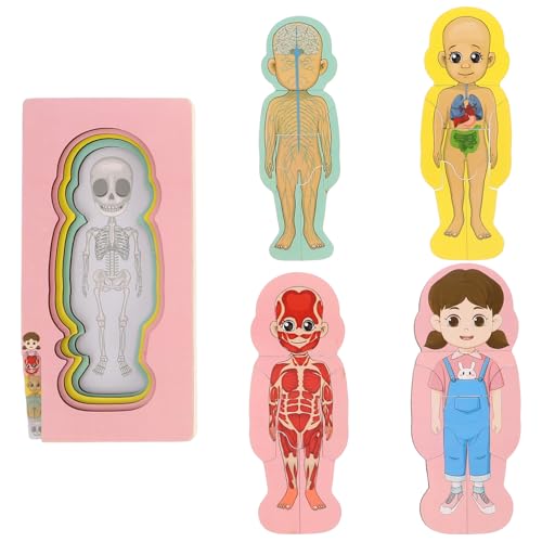 Toyvian Holz - Puzzle Zur Struktur des Menschlichen Körpers - Lernspielzeug Für Kinder - Organ-Puzzle-Set Für Kleinkinder Toyvian Holz - Puzzle Zur Struktur des Menschlichen Körpers - Lernspielzeug Für Kinder - Organ-Puzzle-Set Für Kleinkinder von Toyvian