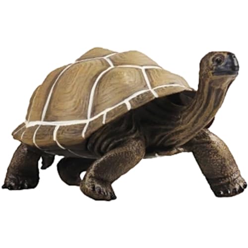 Toyvian Schildkrötenmodell Meeresschildkröten Schildkröte Meeresschildkröte Wanddekoration Mini Schildkröten Kinderspielzeug Kleine Künstliche Schildkröte Für Schildkröten Toyvian Schildkrötenmodell Meeresschildkröten Schildkröte Meeresschildkröte Wanddekoration Mini Schildkröten Kinderspielzeug Kleine Künstliche Schildkröte Für Schildkröten von Toyvian