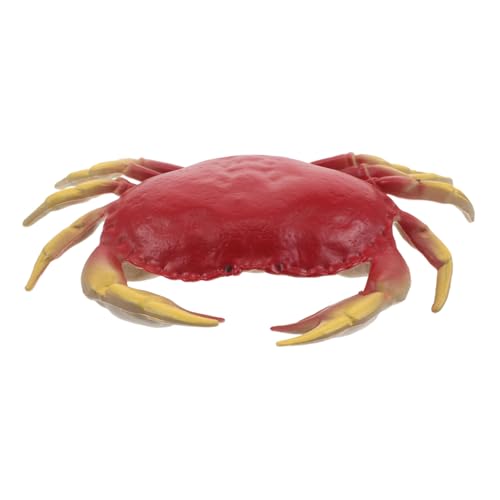 Toyvian Simulationstiermodell Figur Krabbe Simulierte Krabbe Für Krabben Meerestierfiguren Krabben Actionfigur Krabbenspielzeug Kleine Meerestierfiguren Roter Kunststoff von Toyvian
