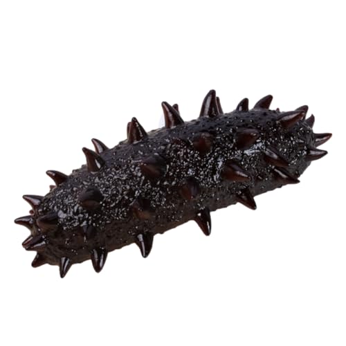 Toyvian Simulierte Meeresfrüchte Seegurke Gefälschte Seegurke Wissenschaftliches Lernspielzeug Simulation Robbe/Schnecke Foto Requisite Lebensechte Gefälschte Meeresfrüchte Toyvian Simulierte Meeresfrüchte Seegurke Gefälschte Seegurke Wissenschaftliches Lernspielzeug Simulation Robbe/Schnecke Foto Requisite Lebensechte Gefälschte Meeresfrüchte von Toyvian