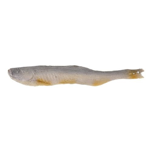 Toyvian Simulierter gebratener Fisch: Gefälschte Fischfilets, Meeresfrüchte-Fotografie, künstliche Lebensmitteldekoration, Desktop-Spielbeispiel-Szenen-Requisiten für realistisches Spielzeug- von Toyvian