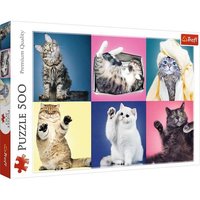 Puzzles - "500" - Katzen Puzzles - "500" - Katzen von Trefl SA