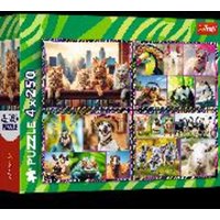 Funny animals von Trefl S.A.