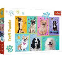 Hundewelt (Kinderpuzzle) von Trefl