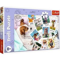 Puzzle 300 - Hunde Urlaubsfotos Puzzle 300 - Hunde Urlaubsfotos von Trefl