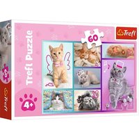 Puzzle 60 - Katzen Puzzle 60 - Katzen von Trefl