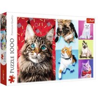 TREFL 10591 Puzzle 1000 Teile Happy Cats TREFL 10591 Puzzle 1000 Teile Happy Cats von Trefl
