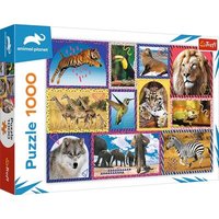 TREFL 10673 Puzzle 1000 - Animal Planet Wilde Tiere TREFL 10673 Puzzle 1000 - Animal Planet Wilde Tiere von Trefl