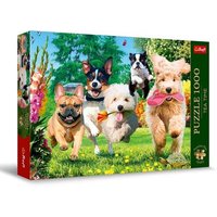 TREFL 10800 Puzzle 1000 Teile Premium Plusea Time: Ärger im Anmarsch! von Trefl