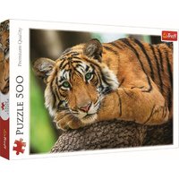 Tiger Poträt (Puzzle) von Trefl