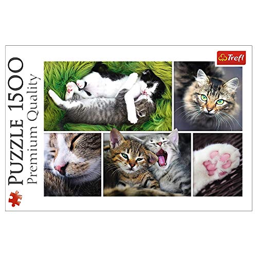 Trefl, Puzzle, Katzensachen, 1500 Teile, Collage, Premium Quality, für Erwachsene und Kinder ab 12 Jahren Trefl, Puzzle, Katzensachen, 1500 Teile, Collage, Premium Quality, für Erwachsene und Kinder ab 12 Jahren von Trefl